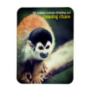 Buscar primate imanes Adorable