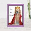 Buscar disfraz tarjetas General y unisex