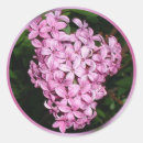 Buscar olores pegatinas Floral