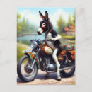 Buscar burro lindo postales Adorable