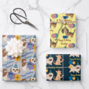 Buscar perros papel de regalo Perro salchicha