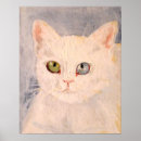 Buscar ojos de gatos posters 9 º gata