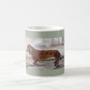 Buscar patos tazas Para todos