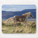 Buscar ken alfombrillas de raton Caballo