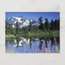 Buscar ambiente postales Lago