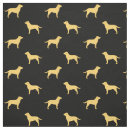 Buscar retriever telas Labrador