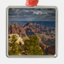 Buscar rimas adornos Arizona