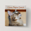 Buscar coon chapas Gatito