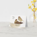 Buscar plumas blancas tarjetas Pájaros