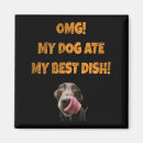 Buscar perro de agua imanes Para todos