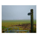 Buscar niebla Paisaje