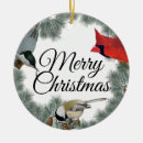 Buscar cardenales adornos Invierno