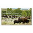 Buscar wyoming fotografía Avispamiento