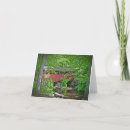 Buscar cubierto tarjetas Bosque