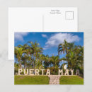 Buscar palmeras costeras postales Para todos
