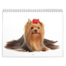 Buscar yorkshire calendarios Perro