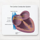 Buscar cardiología electronica Cardiaco