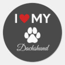 Buscar dachshund pegatinas Amar