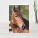 Buscar andalucia tarjetas Animal