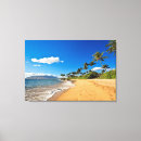 Buscar tropical lienzos Playa
