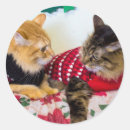 Buscar hermana pegatinas Gatito