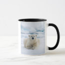 Buscar verraco tazas Fauna