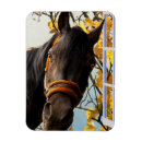 Buscar equino imanes Caballo