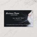 Buscar gatito blanco tarjetas de visita Criador