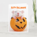 Buscar dumbo tarjetas Ratas