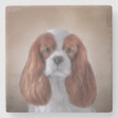 Buscar clipart posavasos Colorido