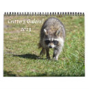 Buscar mapache calendarios Naturaleza