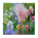 Buscar flor nacional azulejos Flores