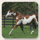 Buscar pinto posavasos Caballo