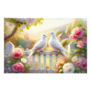 Buscar palomas blancas posters Para ella