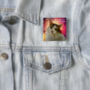 Buscar cute cat chapas Divertido