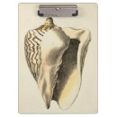 Buscar sepia libretas Concha