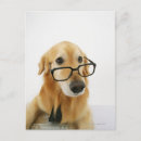 Buscar corbata postales Perro