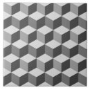 Buscar gris plateados azulejos Moderno