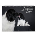 Buscar amor calendarios Blanco y negro