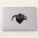 Buscar ojo grande pegatinas Fantasía