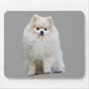 Buscar pom alfombrillas de raton Perrito