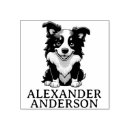 Buscar profesor collares Perros