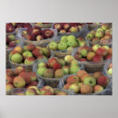 Buscar cesta de fruta posters Cosecha