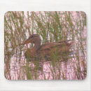 Buscar pato silvestre alfombrillas de raton Animal