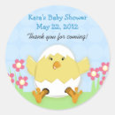 Buscar pollitos pegatinas Picar