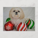 Buscar navidad shih tzu postales Pequeño