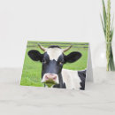 Buscar vaca de holstein tarjetas Para todos