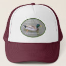 Buscar pato gorras Aves acuáticas