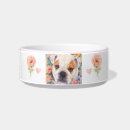 Buscar inglés mascotas Lindo