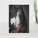 Buscar fotografías occidentales tarjetas Animales